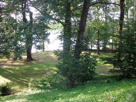click to enlarge